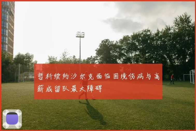 哲科续约沙尔克面临困境伤病与高薪成留队最大障碍